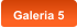 Galeria 5