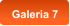 Galeria 7